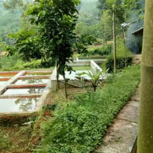Dijual tanah dan bangunan serta kolam