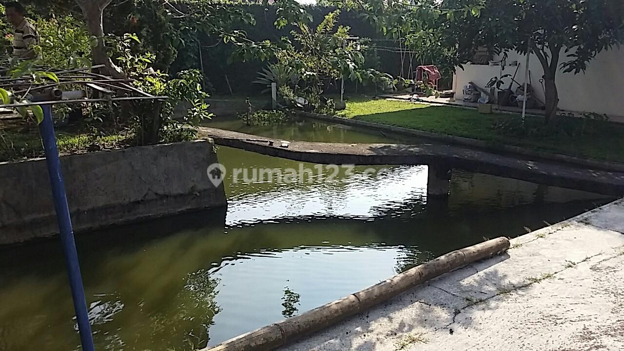 Dijual Rumah Cantik Swimmingpool. di Kota Cianjur