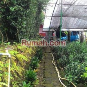 Rumah Taman Plus Villa Di Cipanas