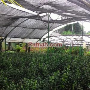 Rumah Taman Plus Villa Di Cipanas