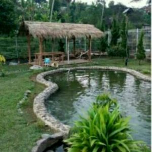 Villa Murah Cantik Di Kawasan Wisata DekatTaman Bunga Nusantara Cianjur Puncak Jawa Barat, Sukaresmi, Cianjur