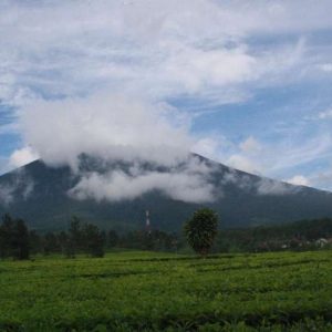 Tanah Kavling Murah di Cianjur Cipanas View Gunung Gede
