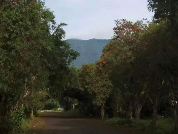 Tanah Kavling Murah di Cianjur Cipanas View Gunung Gede