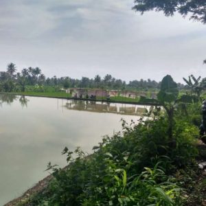 Tanah 2250 m2 Pinggir Jalan Raya Karangtengah