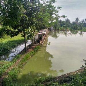 Tanah 2250 m2 Pinggir Jalan Raya Karangtengah