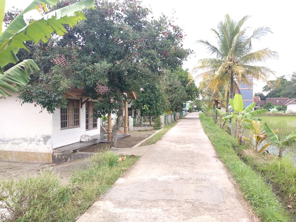 Jual Rumah dan Sawah Sangat Luas di Karangtengah
