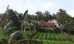 Situs Terlengkap Jual Beli Properti Khusus Wilayah Cianjur