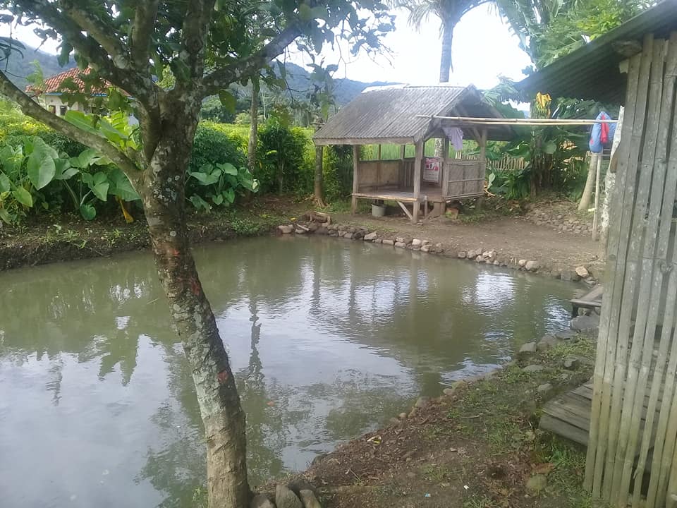 Situs Terlengkap Jual Beli Properti Khusus Wilayah Cianjur