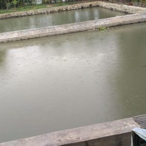 Dijual Rumah Strategis di Ciranjang