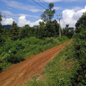 Jual Tanah Cianjur Di Dekat The Jons 1,4Ha