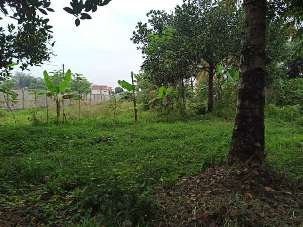 Jual tanah di Ciranjang - Sipon 1,3 HA Kabupaten Cianjur
