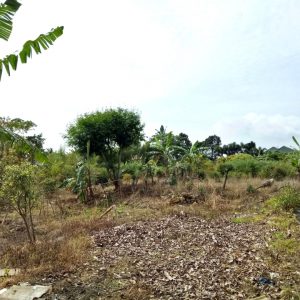 Jual cepat tanah di Jalan Pacet Kabupaten Cianjur