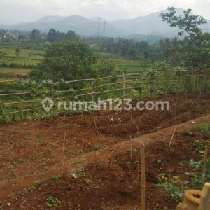 Jual villa asri nyaman di Cianjur Kabupaten Cianjur