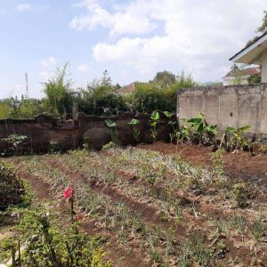 Jual villa elite asri di Cipanas Kabupaten Cianjur