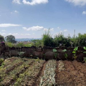 Jual villa elite asri di Cipanas Kabupaten Cianjur