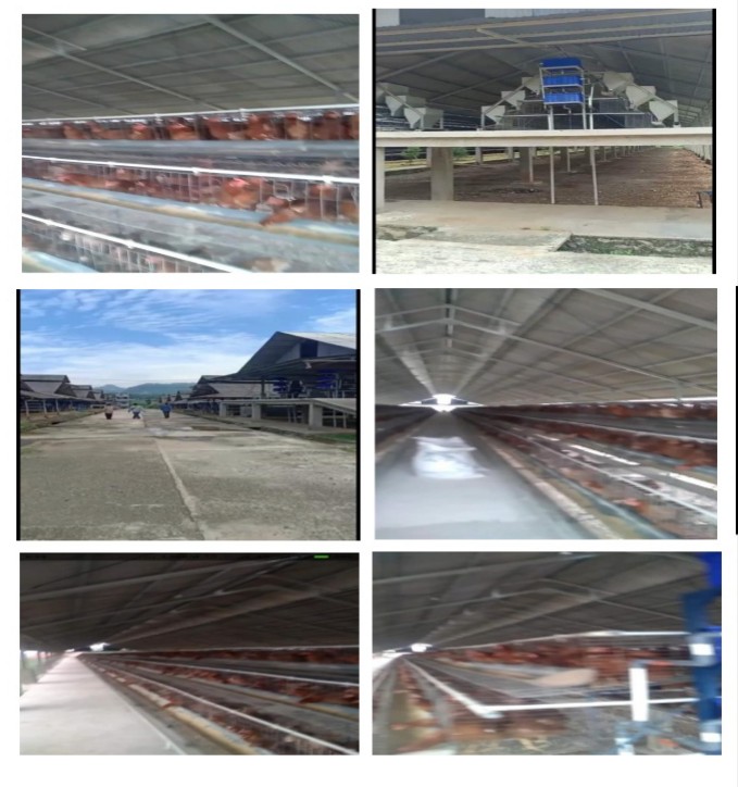 Situs Terlengkap Jual Beli Properti Khusus Wilayah Cianjur