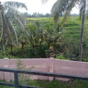 Jual rumah minimalis di Perum Pesona Cianjur Kabupaten Cianjur