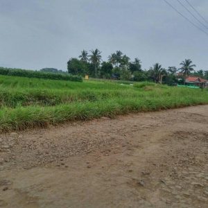 Jual cepat tanah sawah seluas 1400m2 di Ciranjang Kabupaten Cianjur