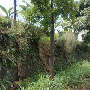 Jual tanah seluas 5354 m2 strategis di Jalan Gekbrong Kabupaten Cianjur