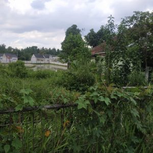 Jual tanah seluas 3200 m² strategis di Desa Cikaroya Warungkondang Kabupaten Cianjur