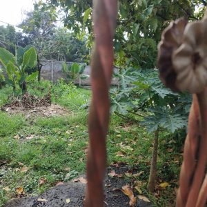 Jual tanah seluas 285 meter jarang ada di Cikancana Gekbrong Kabupaten Cianjur