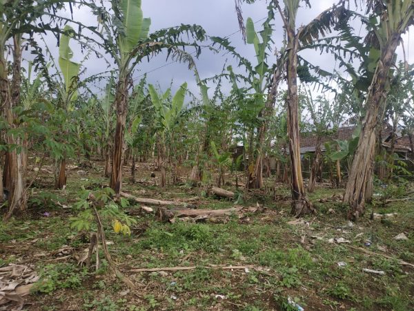 Jual tanah seluas 1410 meter strategis di Desa Sarampad Cugenang Kabupaten Cianjur