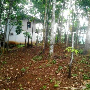 Jual tanah seluas 13.323 m2 strategis di Cikendi Cianjur Kabupaten Cianjur