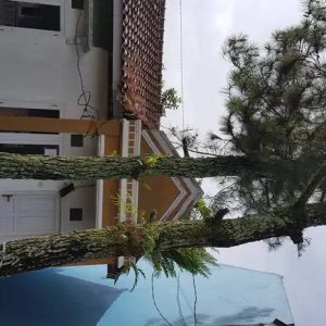 Jual villa murah strategis di Cipanas Kabupaten Cianjur