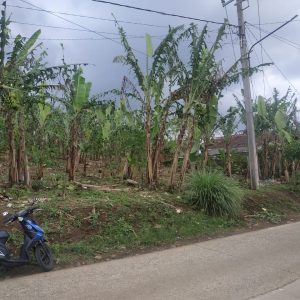 Jual tanah seluas 1410 meter strategis di Desa Sarampad Cugenang Kabupaten Cianjur