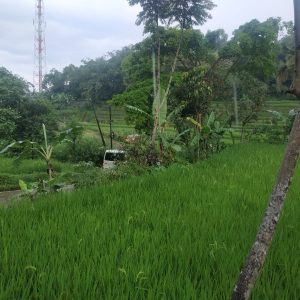 Jual tanah seluas 3500 meter pinggir jalan di Kampung Padakati Pesantren Kabupaten Cianjur
