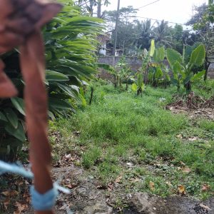Jual tanah seluas 285 meter jarang ada di Cikancana Gekbrong Kabupaten Cianjur