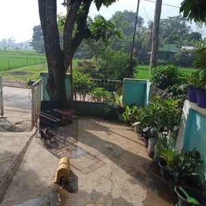 Jual Cepat Rumah dan Tanah Pinggir Jalan Srategis di Cibiuk Cirajang Kabupaten Cianjur