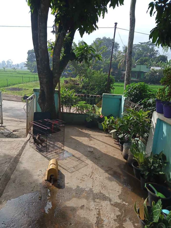 Jual Cepat Rumah dan Tanah Pinggir Jalan Srategis di Cibiuk Cirajang Kabupaten Cianjur