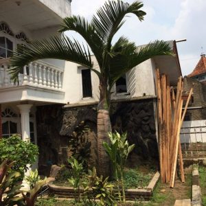 Jual Rumah Hunian Nyaman Asri di Kawasan Tungturunan Sukaluyu Cianjur Kabupaten Cianjur