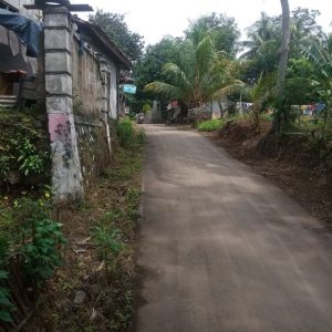 Jual Tanah Sawah Seluas 4.300 meter Strategis di Desa Munjul Cilaku Kabupaten Cianjur