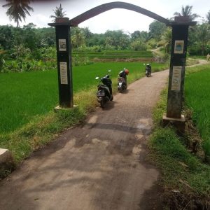 Jual Tanah Sawah Seluas 4.300 meter Strategis di Desa Munjul Cilaku Kabupaten Cianjur