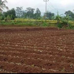 Jual Tanah Seluas 871 m Pinggir Jalan Desa di Desa Benjot Cugenang Kabupaten Cianjur