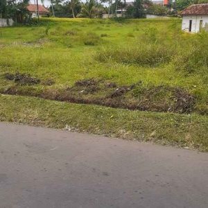 Jual Tanah Seluas 1,5 Ha Pinggir Jalan di Babakan Caringin Karangtengah Kabupaten Cianjur