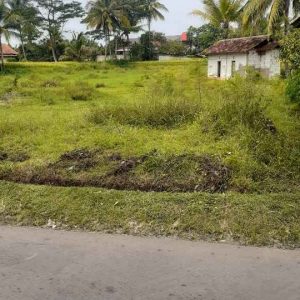 Jual Tanah Seluas 1,5 Ha Pinggir Jalan di Babakan Caringin Karangtengah Kabupaten Cianjur