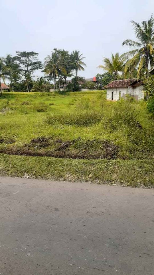 Jual Tanah Seluas 1,5 Ha Pinggir Jalan di Babakan Caringin Karangtengah Kabupaten Cianjur