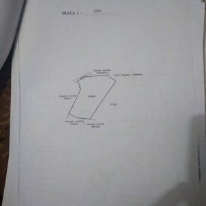 Jual Tanah Sawah Seluas 1 ha Strategis di Kampung Bengle Sukaluyu Kabupaten Cianjur