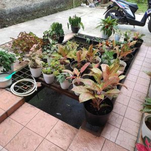 Dijual Rumah Dekat RSUD Sayang di Joglo Cianjur