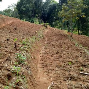 Dijual Tanah Luas di Cibeber Cianjur