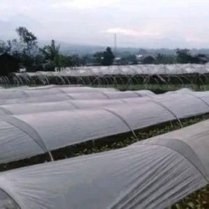 Dijual Tanah Luas di Ciherang Cipanas
