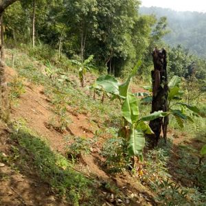 Dijual Tanah Luas di Cibeber Cianjur