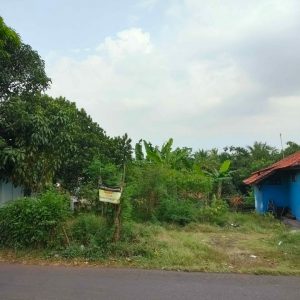 Dijual Tanah Lahan Kosong di Cicadas Sukasirna Sukaluyu Cianjur