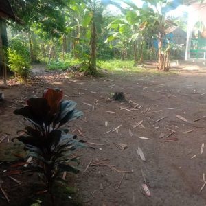 Dijual Tanah Darat Akses Motor di Sukamantri Sukanagara Karangtengah Cianjur