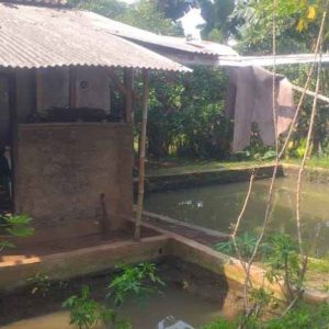 Jual Cepat Rumah Perkampungan di Cikondang Bojongpicung Cianjur