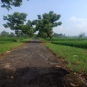 Dijual Tanah di Jalan Raya Abdullah Bin Nuh BLK Cianjur