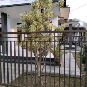 [C1011] Jual Rumah di Kawasan Rancagoong Cilaku Cianjur
